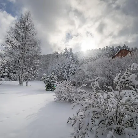 Les Griottes, Veritable Chalet De Montagne, Avec Jacuzzi Et Sauna