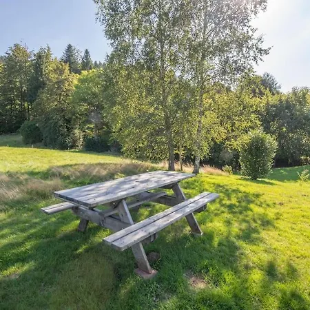 Chalet Les Griottes, Veritable Chalet De Montagne, Avec Jacuzzi Et Sauna Xonrupt-Longemer