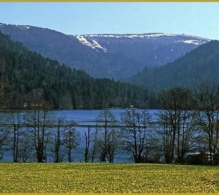 Les Griottes, Veritable Chalet De Montagne, Avec Jacuzzi Et Sauna Chalet *