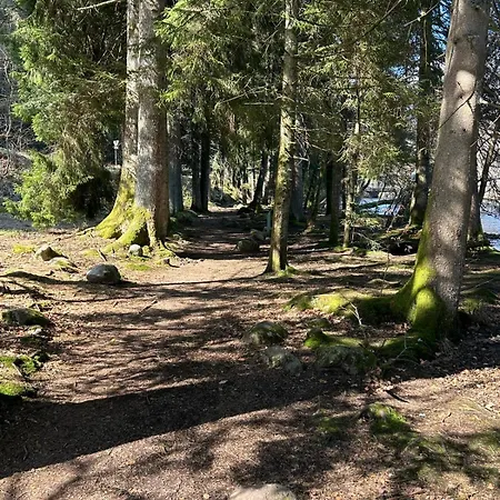 Les Griottes, Veritable Chalet De Montagne, Avec Jacuzzi Et Sauna Chalet Xonrupt-Longemer