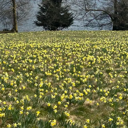 Les Griottes, Veritable Chalet De Montagne, Avec Jacuzzi Et Sauna * Xonrupt-Longemer
