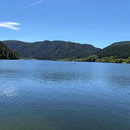 Шале Les Griottes, Veritable De Montagne, Avec Jacuzzi Et Sauna Ксорюпт-Лонжме
