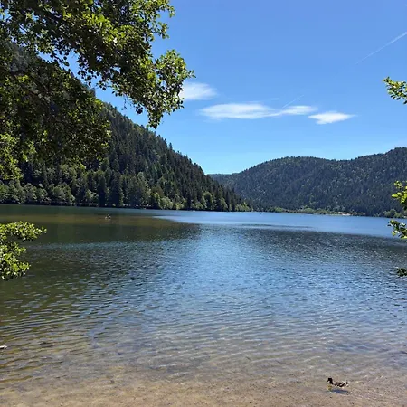 Les Griottes, Veritable De Montagne, Avec Jacuzzi Et Sauna