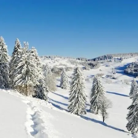 Chalet Les Griottes, Veritable Chalet De Montagne, Avec Jacuzzi Et Sauna *