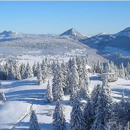 Les Griottes, Veritable Chalet De Montagne, Avec Jacuzzi Et Sauna Chalet Xonrupt-Longemer