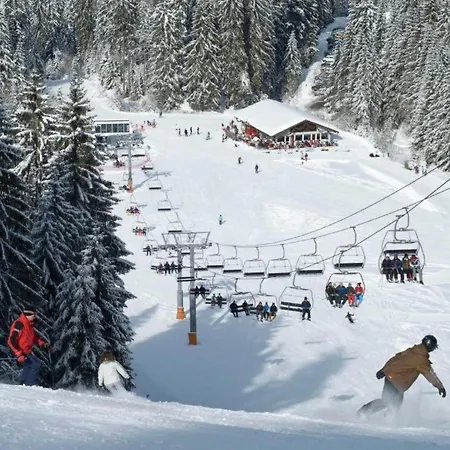 Les Griottes, Veritable Chalet De Montagne, Avec Jacuzzi Et Sauna * Xonrupt-Longemer