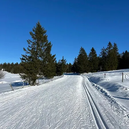 Chalet Les Griottes, Veritable Chalet De Montagne, Avec Jacuzzi Et Sauna *