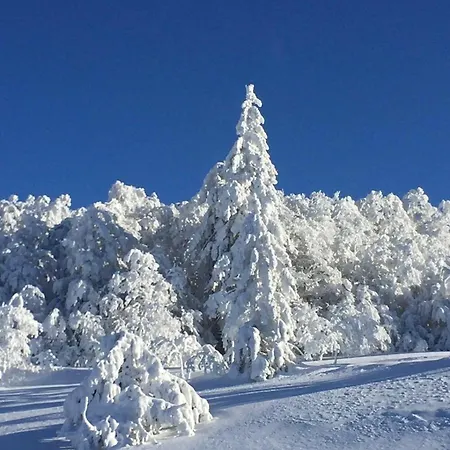 Les Griottes, Veritable Chalet De Montagne, Avec Jacuzzi Et Sauna Chalet