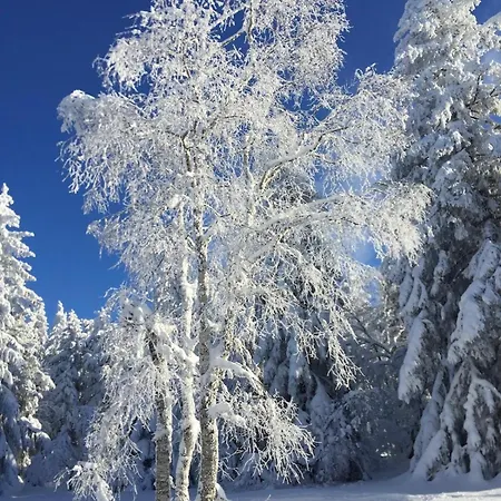 Les Griottes, Veritable Chalet De Montagne, Avec Jacuzzi Et Sauna Chalet