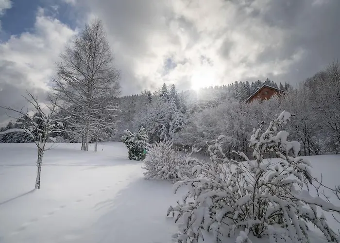 Les Griottes, Veritable Chalet De Montagne, Avec Jacuzzi Et Sauna