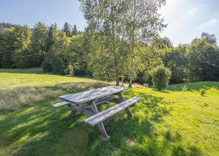 Chalet Les Griottes, Veritable Chalet De Montagne, Avec Jacuzzi Et Sauna Xonrupt-Longemer