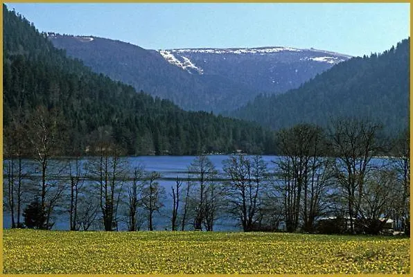 Les Griottes, Veritable Chalet De Montagne, Avec Jacuzzi Et Sauna Chalet *