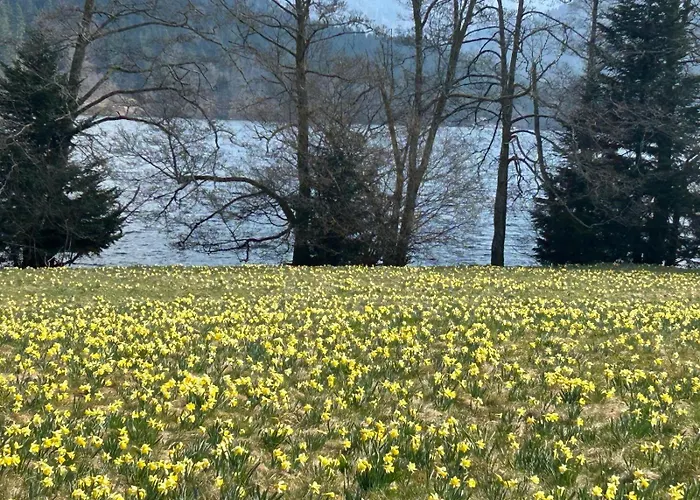 Les Griottes, Veritable Chalet De Montagne, Avec Jacuzzi Et Sauna Chalet