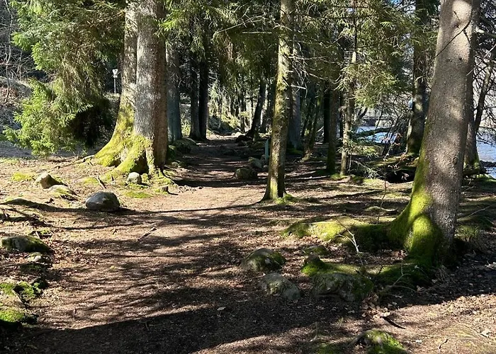 Les Griottes, Veritable Chalet De Montagne, Avec Jacuzzi Et Sauna Chalet Xonrupt-Longemer