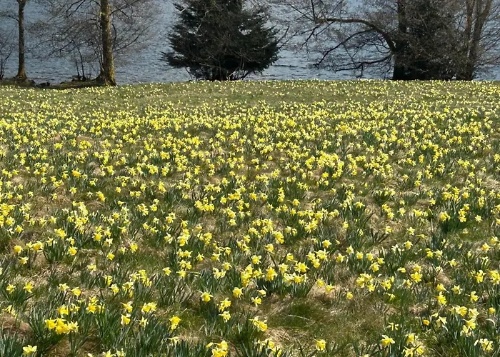 Les Griottes, Veritable Chalet De Montagne, Avec Jacuzzi Et Sauna * Xonrupt-Longemer